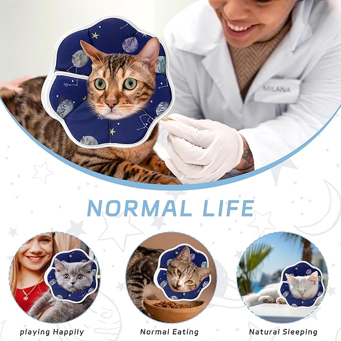 Soft Adjustable Cat Cone Collar, Comfortable Recovery Collar for Cats After Surgery (Blue, Large)