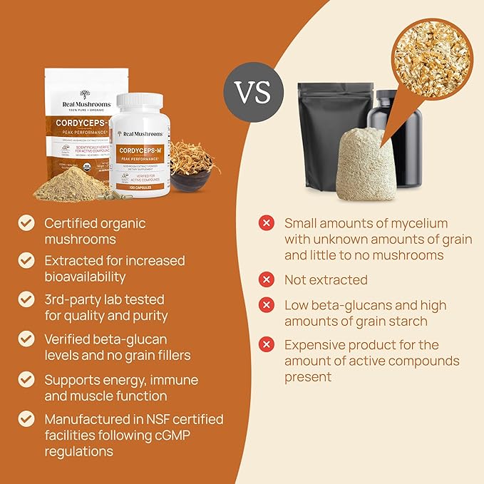 Real Mushroom Cordyceps Mushroom Powder - Cordyceps Mushroom Energy and Performance - Organic Cordyceps Powder with Beta-Glucans, Vegan Supplement, Non-GMO, 150 Servings