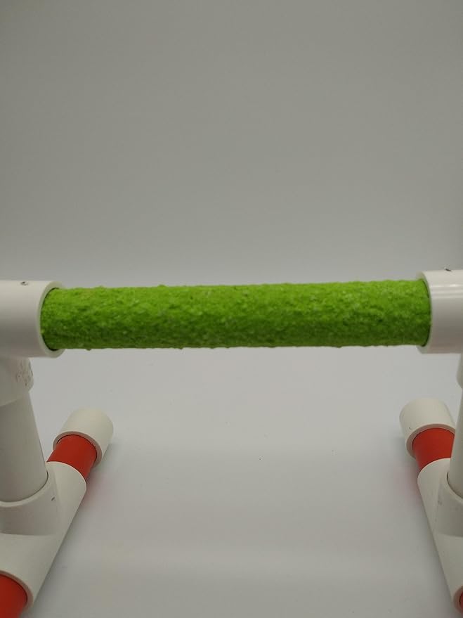 Hypeety Small Bird Parrot Stand Perch Table Top Stand Playground Grind Perch Swing Training Playstand Exercise Chew Toys for Budgies Parakeet Cockatiel Conure Finch (Perch, L)