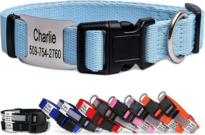 GoTags Personalized Dog Collar with Nameplate, Adjustable Dog Collar with Custom Engraved Slide On Pet ID Tag in Stainless Steel, Silent, No Noise Dog Tag (Light Blue, Small)