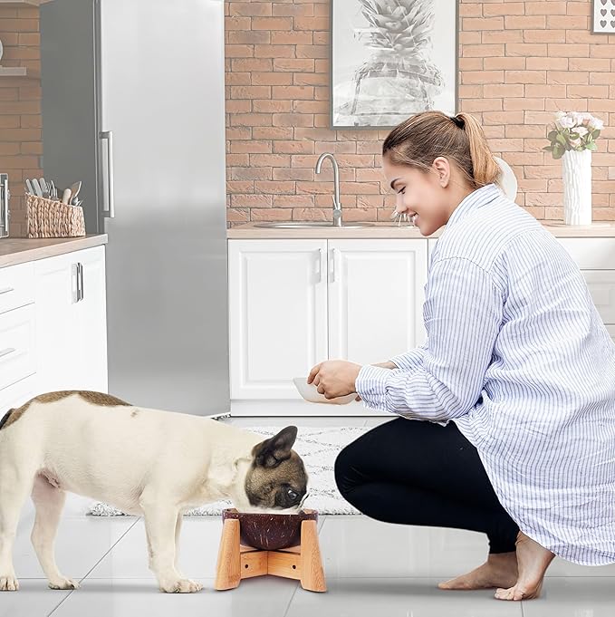 Raised Dog Bowl for Small Dog - Elevated, Ants-Off Stand, Real Coco Bowl, Height 5-inch, 33-oz Dish Capacity - Coconut/Bamboo Natural Calming Effect