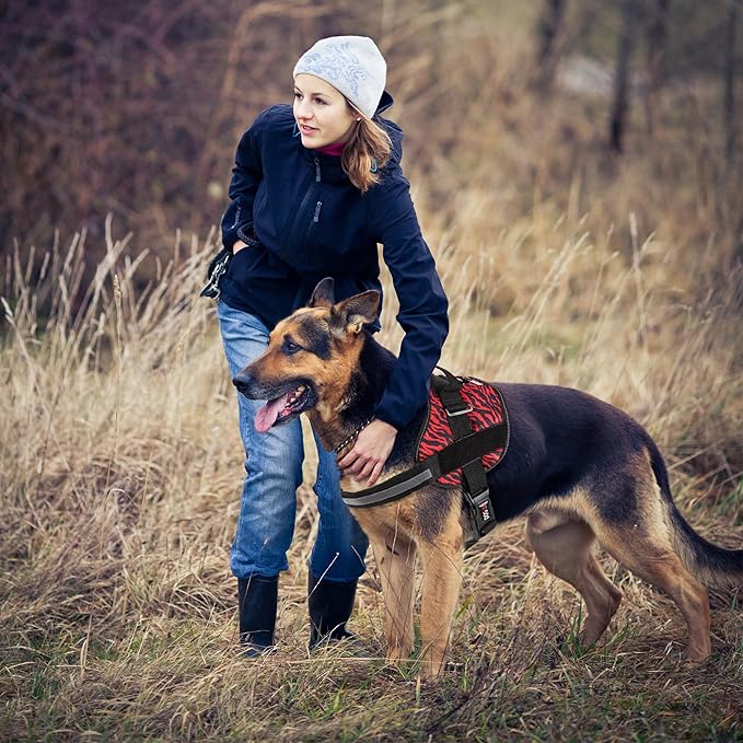 Dogline Dog Harness, Reflective No-Pull Adjustable Vest with Handle for Walking, Training, Breathable, No - Choke Harness for Small, Medium or Large Dogs Room for Patches Zebra Black/Red XS 15"-18"