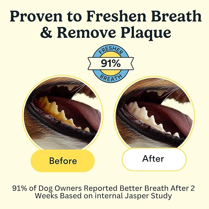 Jasper Dog Dental Wipes, Dog Finger Toothbrush Disposable, Tooth Brush Cleaning Wipes, Pet Teeth Cleaning Dental Care, 60 Count, Coconut