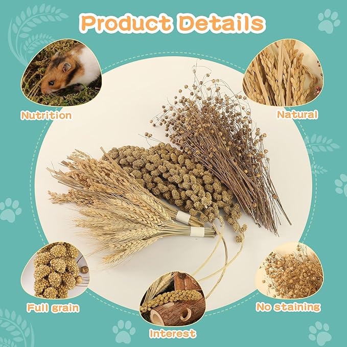 Hamster Spray Set - Natural Snack Grains & Chew Toys for Cage Decoration Accessories, Soft Bedding for Dwarf Syrian Hamsters, Gerbils, Mice & Small Pets