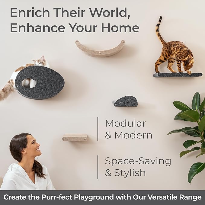 Wall Mounted Cat Hammock Bed by Pryde Pets - Floating Perch Curved Shelf, 100% Sustainable PET Felt Feline Enrichment Climber Furniture for Indoor Cats, Modern Climbing Gym Jungle Design (Oatmeal)