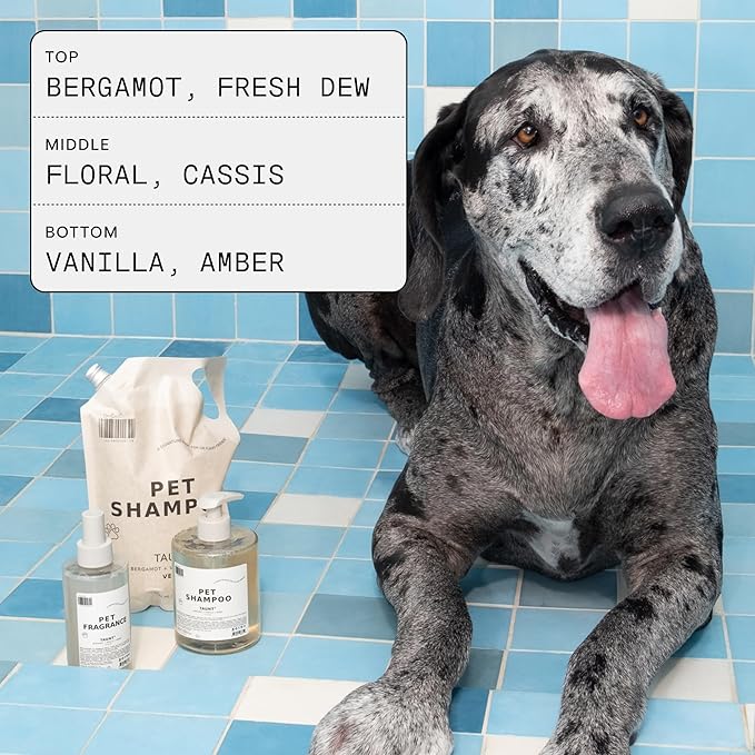 DedCool Pet Shampoo (01 Taunt, 16.9 oz) Tear-Free, for Sensitive Skin, Hypoallergenic, Dry Skin & Itch Relief, Deodorizing Shampoo & Conditioner for Dogs & Cats, Vegan, Clean, Non-Toxic