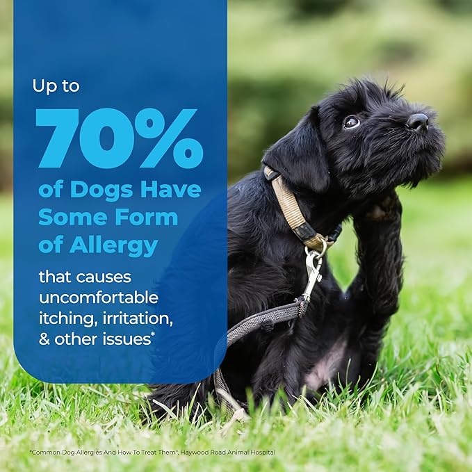 Vetnique Labs Dermabliss Dog Allergy and Itch Relief, Skin and Coat Health Supplements and Grooming Supplies with Omega 3-6-9, Biotin - Ditch The Itch (Itch Relief, 16oz Shampoo)