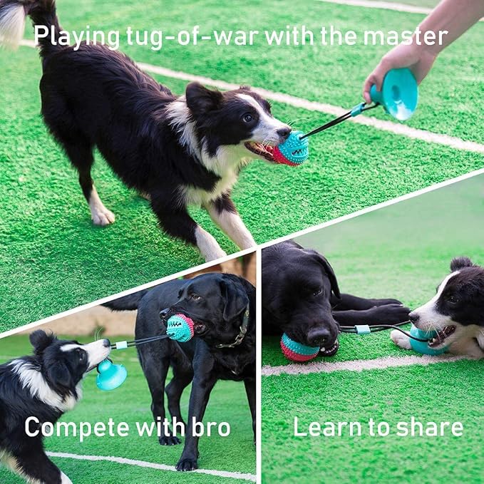 Interactive Dog Toys Tug of War, Mentally Stimulating Toys for Dogs, Puppy Teething Toys for Boredom to Keep Them Busy, Dog Puzzle Treat Food Dispensing Ball Toy for Small Medium Dog on Smooth Floor
