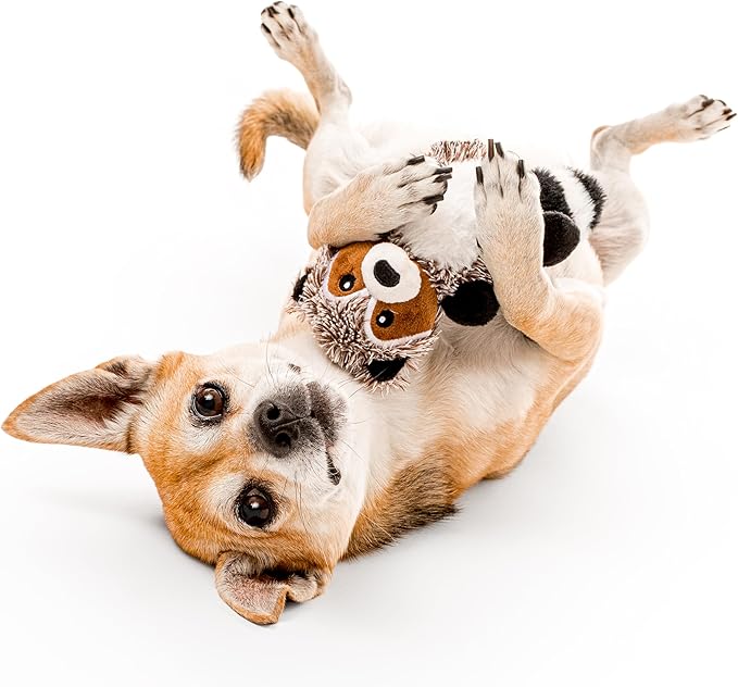 Playology Dog Toys | Plush Toy Raccoon & Squirrel (Value 2-Pack) Stuffed Animal for Dogs | Small Peanut Butter/Sweet Potato Scented Toys - Easy to Clean and Made from Non Toxic Materials