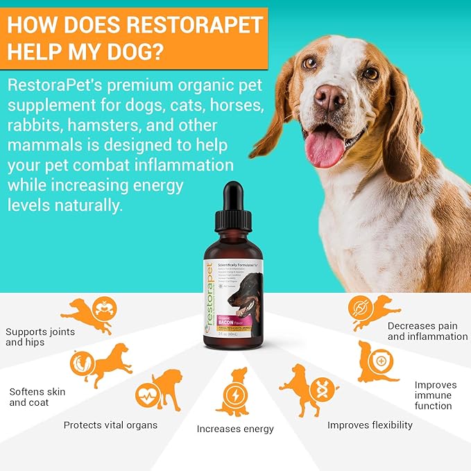 RestoraPet 2-Pack Dog & Cat Bacon Liquid Multivitamin | Dog Arthritis Pain Relief | Hip & Joint Vitamins for Dogs - Anti Inflammatory Supplement for Dogs & Cats | Organic & Non-GMO, Vet Approved