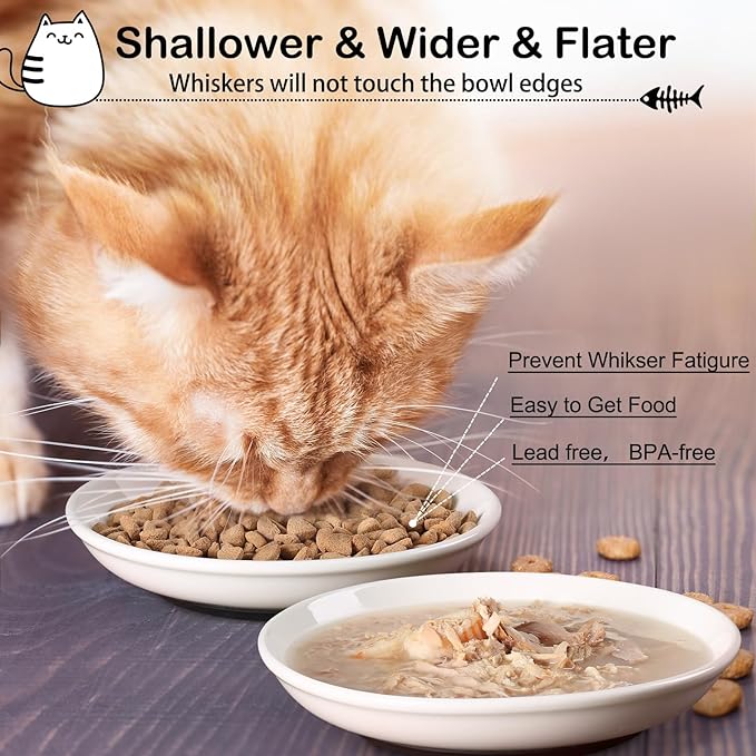 Cat Food Bowl,Healthy Ceramic Cat Bowls for Indoor Cats,Anti Whisker Fatigue Cats Dishes Set,Shallow Wide Kitten Plates for Food and Water,Non-Slip Silicone Bottom,3 Pack
