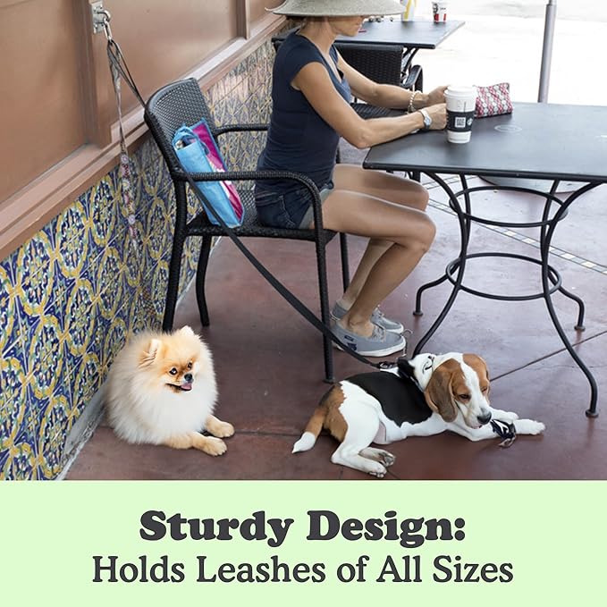 Canine Hitch- Secure Dog Leash Parking Wall Large Hook with Clip 6 Pack - Tie Out Stainless Steel & ABS Mounting Plate for Strength - Practical Lead Management for Home & Business