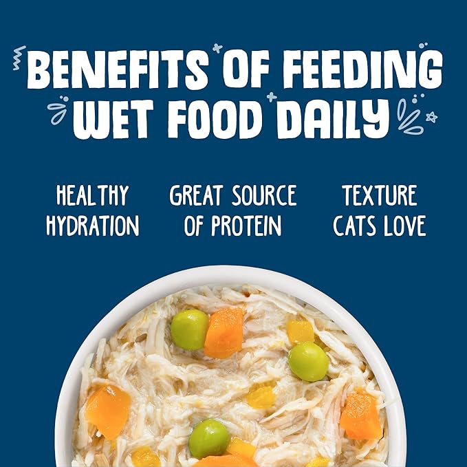 Weruva Classic Cat Food, Grandma?S Chicken Soup with Chicken Breast & Veggies, 5.5Oz Can (Pack of 24)