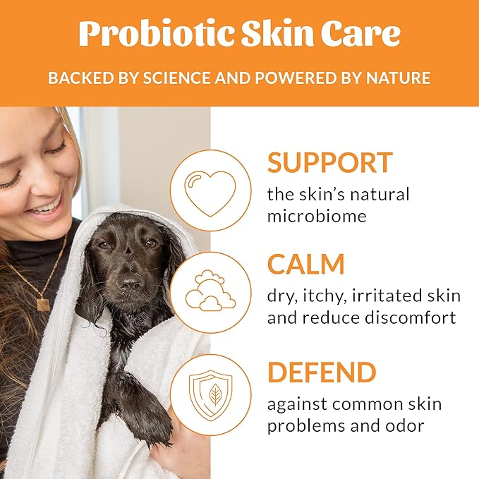 Skout's Honor Probiotic Dog Shampoo & Conditioner with Avocado Oil & Omega-3s, 97% Natural, Paraben & Sulfate-Free, Cruelty-Free, 16oz, Honeysuckle 2-Pack