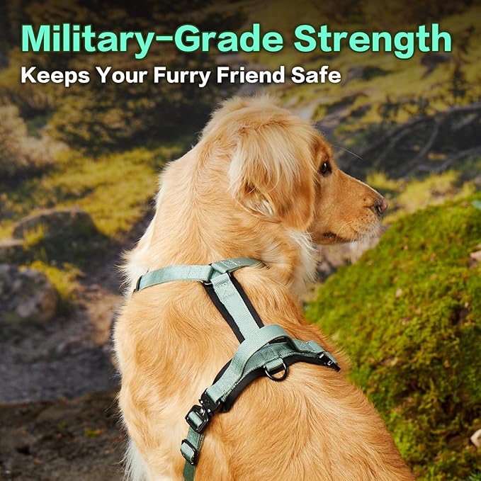 CLEPAWS Dog Harness for Medium Dogs, No Pull Dog Harness Easy Walk with Metal Hardware, Ergonomic Y-Shaped Design, Soft Padding, Padded Handle, Durable High-Tensile Nylon (Seabreeze, M)