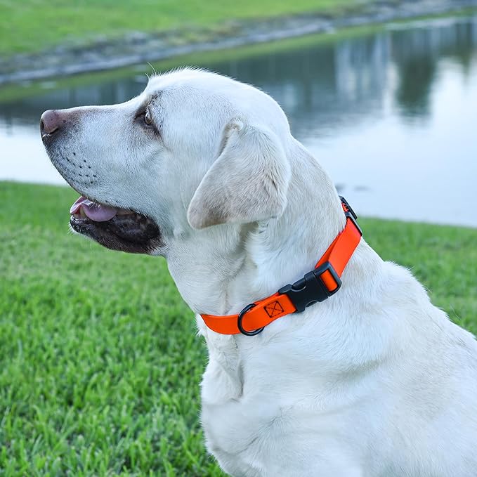 Dogline Biothane Waterproof Dog Collar with Quick Release Buckle Strong Coated Nylon Webbing with Odor- Proof for Easy Care Easy to Clean Fits Small Medium or Large Dogs, Orange 3/4" W 12-19" L