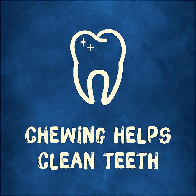 Purina Busy with Beggin’ Twist’d Adult Dog Chew Bone Treats - 10 ct. Pouch