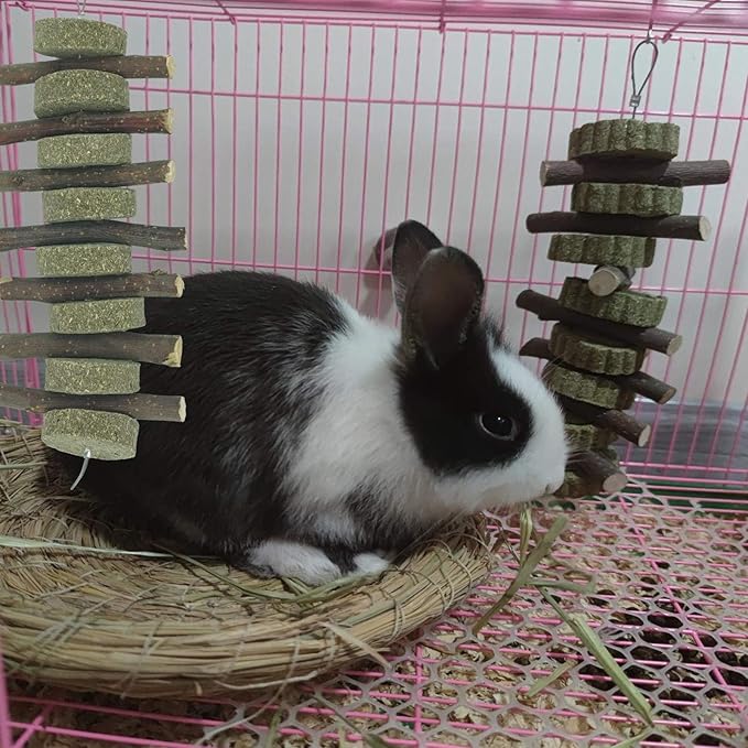 Rabbits Chew Toys Bunny Treats Natural Wood Timothy Hay Grass Chew Toys Treats for Hamster Chinchilla Guinea Pigs 6pcs
