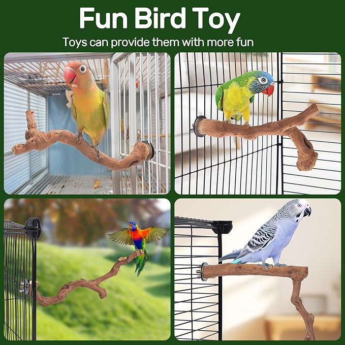 6-Piece Premium Bird Perch Stand with Natural Grape Wood Branch, Paw Grinding Fork, Chewing Stick, Cage Accessories for Parakeets, Budgies, Cockatiels, Finches, Lovebirds