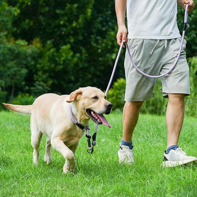 Rope Dog Leash with Two Handles, 6 Foot Heavy Duty Dog Leash with Aviation Aluminum Auto Locking Carabiner, Strong Nylon Pet Lead for Small, Medium, Large Dogs (Green, 6FT-Two Handle)