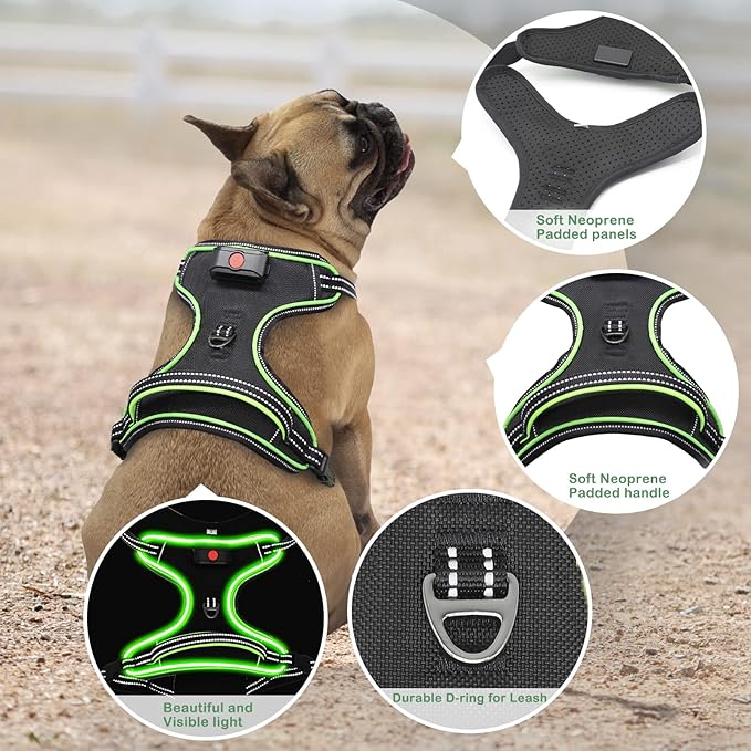 Light Up Dog Harness, No Pull LED Dog Harness with Handle, Rechargeable Lighted Safety Vest for Small Medium Large Dogs, Adjustable Soft Dog Lights for Night Walking