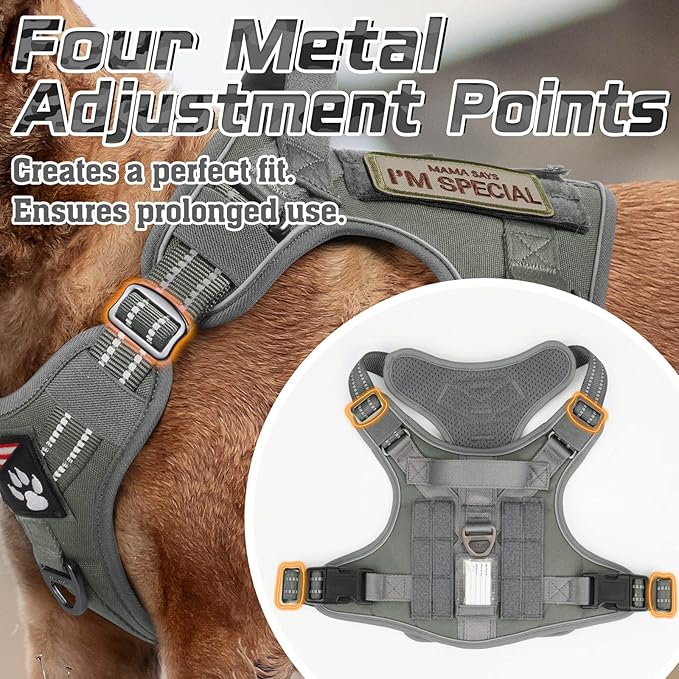 rabbitgoo Tactical Dog Harness for Small Dogs, No Pull Military Service Vest with Handle & Molle, Easy Control for Training Walking, Adjustable Reflective Straps, Dark Grey, S