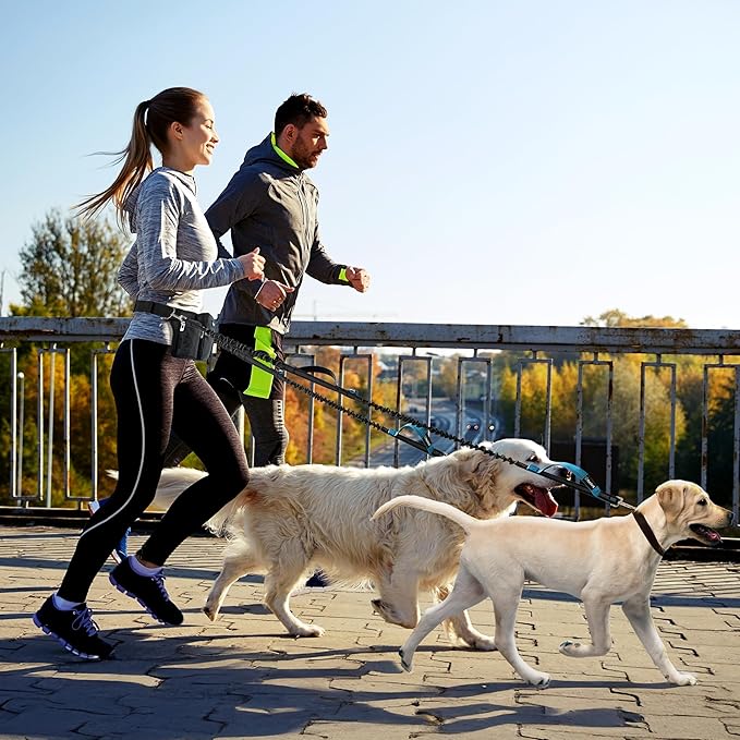 PetAmi Premium Hands Free Dog Leash for 2 Dogs, Adjustable Waist Belt Leash for Dog Walking, Fanny Pack Accessories Bag Dual Bungee Leash for Running, Hiking, Jogging, Biking, Black