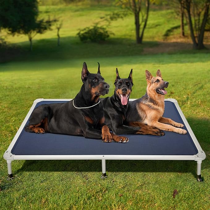 Veehoo Chew Proof Elevated Dog Bed - Cooling Raised Pet Cot - Silver Aluminum Frame and Durable Textilene Mesh Fabric, Unique Designed No-Slip Feet for Indoor or Outdoor Use, Blue, XX-Large, CWC2003
