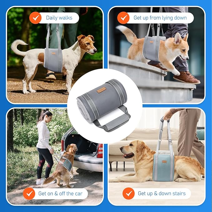 Dog Lift Harness for Large Dogs, Adjustable Dog Sling for Back Legs, Hip Support Harness to Help Lift Dogs Rear for Canine Aid and Old K9 Cruciate Ligament Rehabilitation - Large, Grey