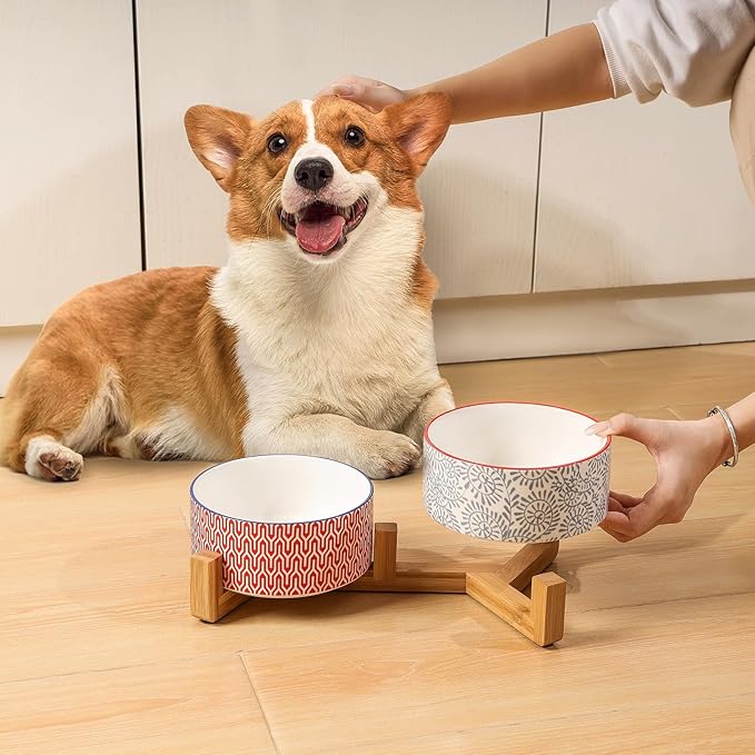 Selamica Ceramic 14 oz Dog Bowls - Anti-Slip Pet Dishes Set with Wooden Stand for Cats & Small Dogs, Weighted, Assorted Colors, Food & Water Dishes