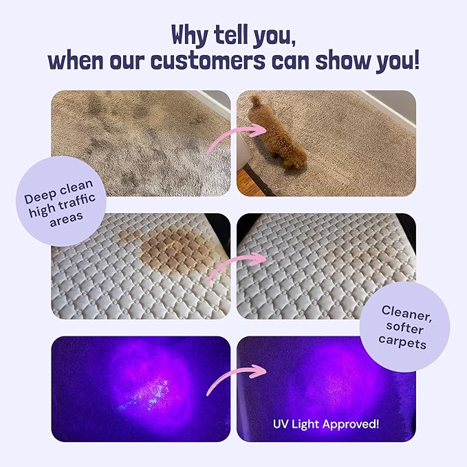 Sunny & Honey Carpet Cleaner Solution - 32 Fl Oz, Light Lavender - Deep Stain Remover & Odor Deodorizer - Pet Carpet Cleaner & Rug Shampoo