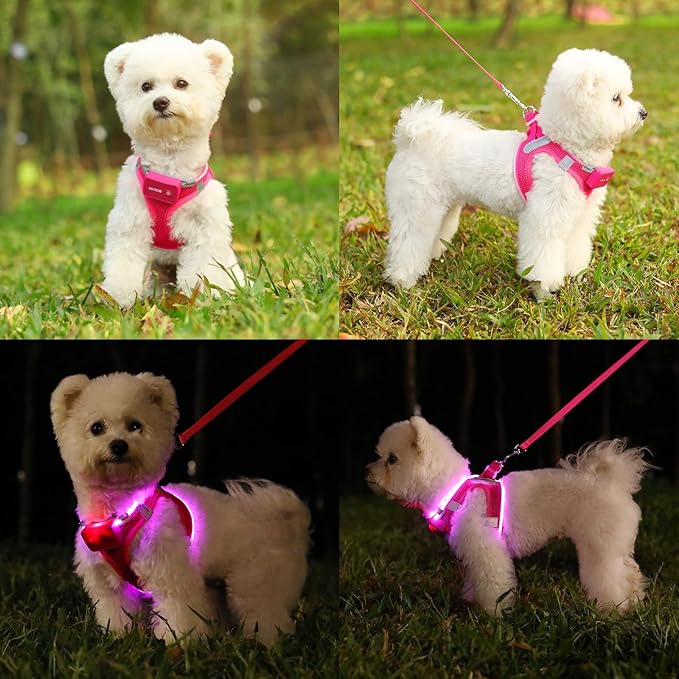 Light Up Dog Harness,Rechargeable LED Dog Harness for Small Medium Large Dogs,Reflective Lighted Safety Vest for Night Walking & Camping,Lightweight & Adjustable,Pink,S