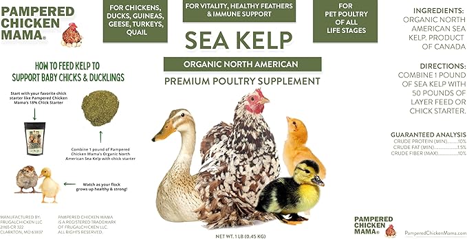 Organic Kelp for Chickens & Duck Feed (5 Pound): Chicken Vitamins | Chicken Supplements | Vitamins for Chickens | Pampered Chicken Mama