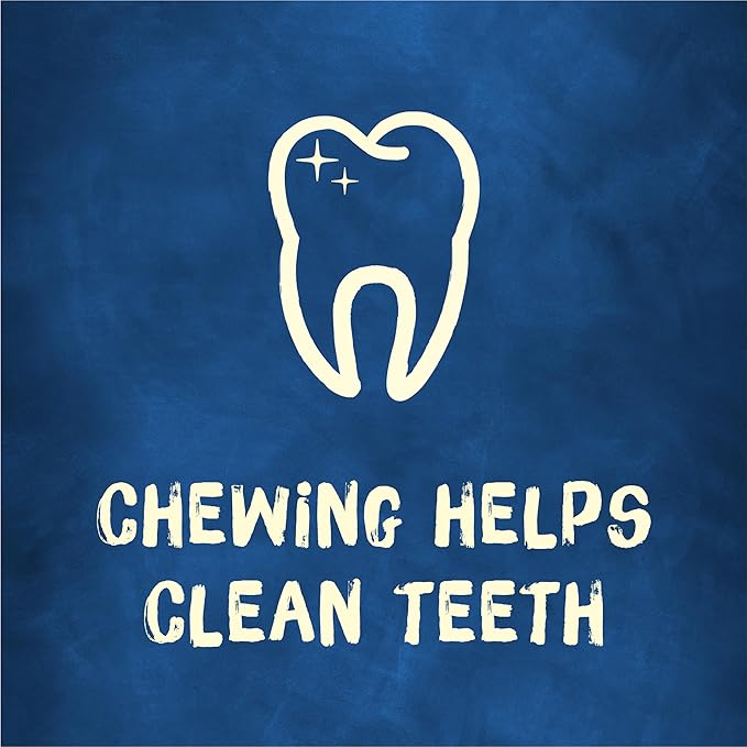 Purina Busy Bone Adult Toy Breed Dog Chew Bone Treats, Tiny - 60 ct. Pouch