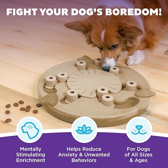 Outward Hound by Nina Ottosson Dog Worker Treat Puzzle Enrichment Toy, Level 3 Advanced, Tan