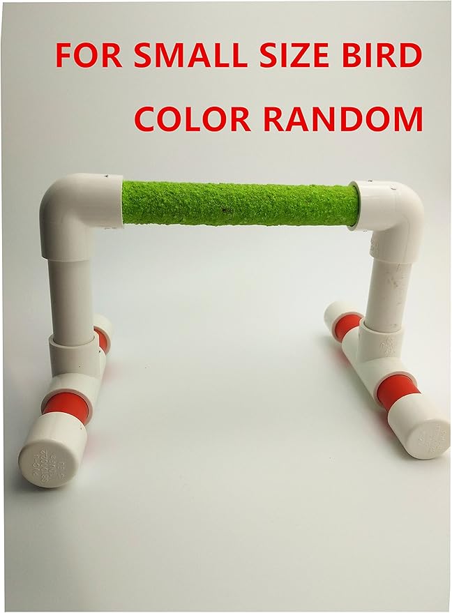 Small Bird Parrot Stand Perch Table Top Stand Playground Grind Perch Swing Training Playstand Exercise Chew Toys for Budgies Parakeet Cockatiel Conure Finch (Stainless Steel Tray, M)