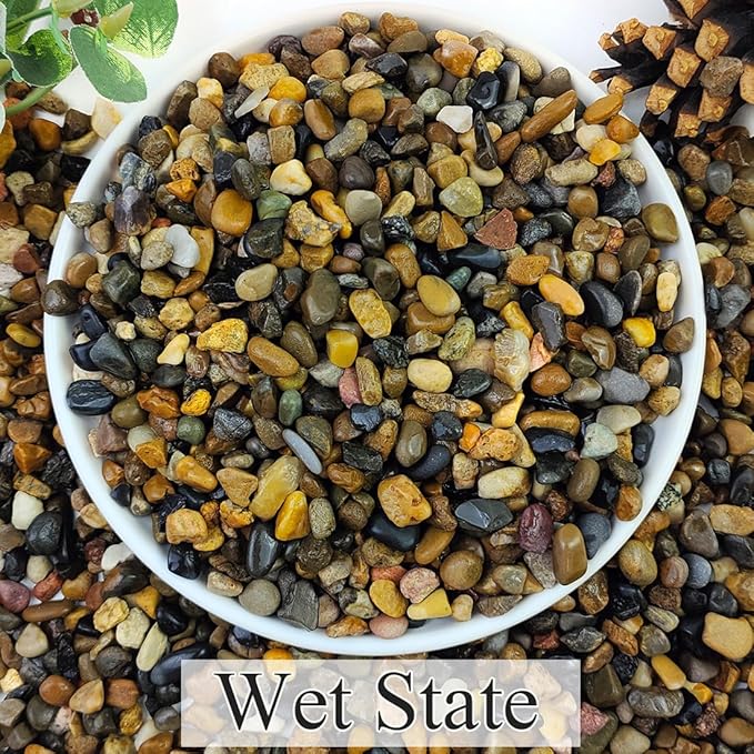 2lbs Natural River Rocks, 1/4" Aquarium Gravel Succulent Cactus Pea Gravel for Plants, Fish Tank, Decorative Pebbles for Gardening, Flower Pots, Vase Fillers, Indoor Water Fountains, Landscaping