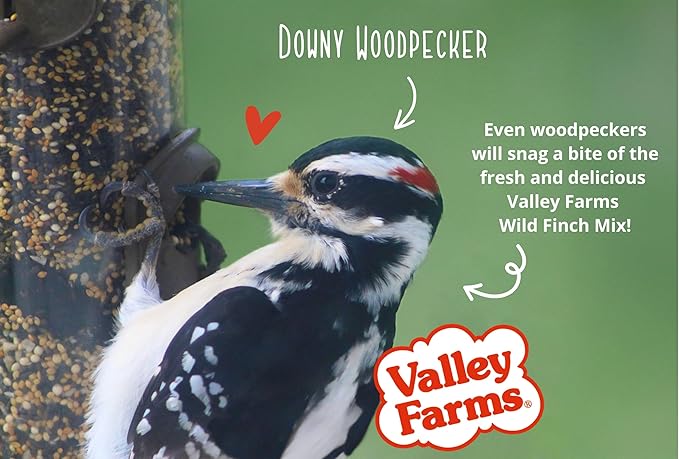 Valley Farms Wild Finch Mix (15 LB) Wild Bird Food for Outside Feeders, Wild Bird Seed with Millet and Chopped Sunflower Hearts for Birds, Finch Seed for Finch Feeders, Sunflower Kernels