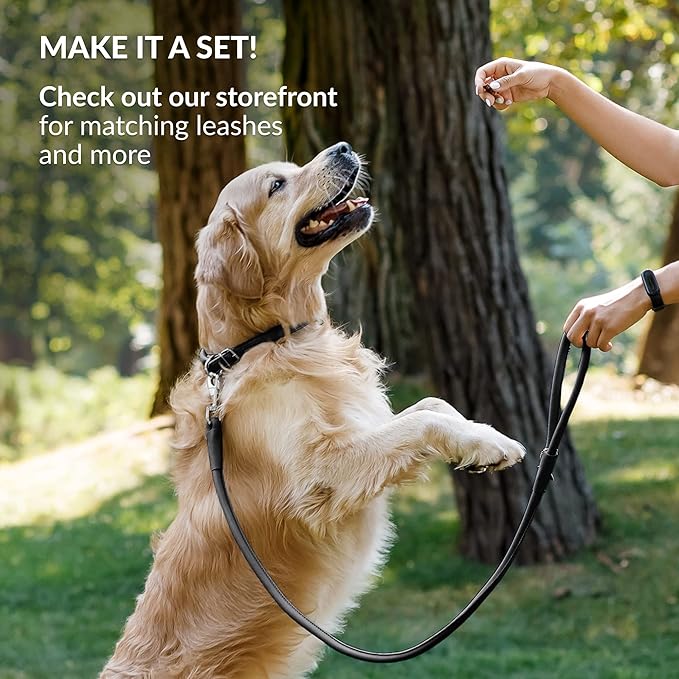 CollarDirect Rolled Leather Dog Collar, Soft Padded Round Puppy Collar, Handmade Genuine Leather Collar Dog Small Large Cat Collars 13 Colors (13-16 Inch, Black Smooth)