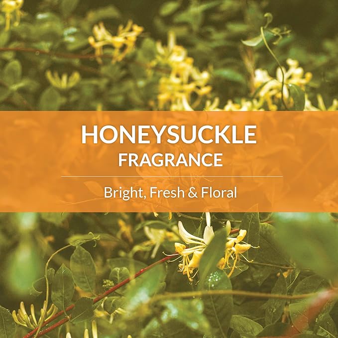 Skout's Honor Probiotic Dog Shampoo & Conditioner with Avocado Oil & Omega-3s, 97% Natural, Paraben & Sulfate-Free, Cruelty-Free, 16oz, Honeysuckle 2-Pack