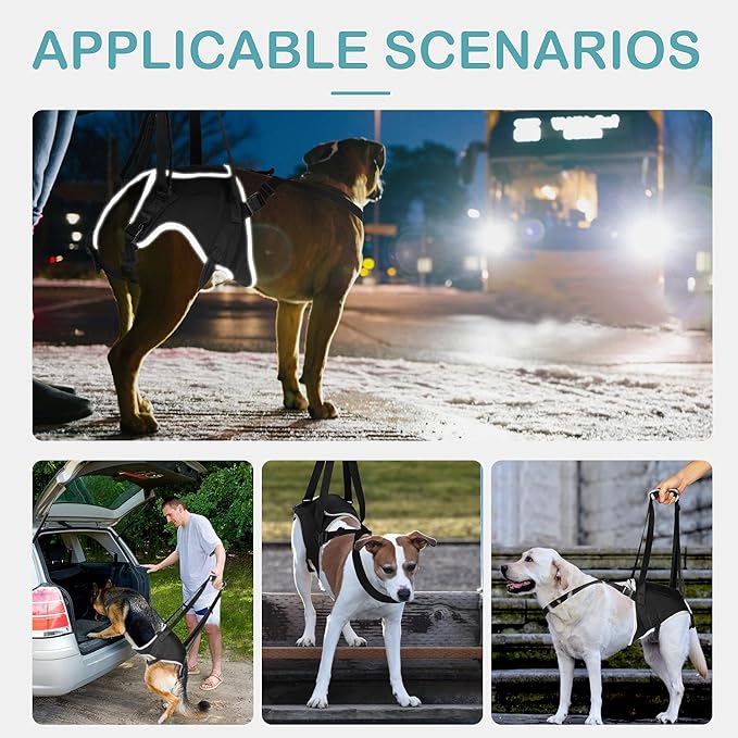 Dog Sling for Medium Dogs Hind Leg Support – Helps with Joint Pain, Mobility Issues, and Ivdd, Rear Leg Lift Harness with Chest Strap, Adjustable Elastic, and Reflective Material, M