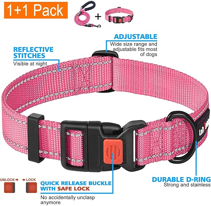 Heavy Duty Dog Leash - Comfortable Padded Handle, 5 ft Long - Dog Leashes for Small Medium Large Dogs (Leash+Collar M Neck 16"-20", Pink)