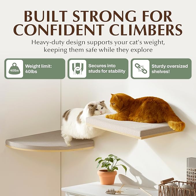 Large 9.84” CALLICO HAVEN- Corner Cat Wall Shelves, Modern Wall-Mounted Cat Furniture, Corner Wall Hammock for Cats, Space-Saving Wall Cat Tree Bed, Sturdy/Hidden Mounts, Washable Cover- Fan Shape