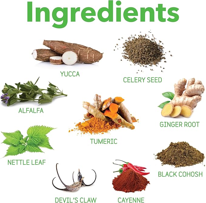 InClover Connectin Natural Hip & Joint Supplement for Dogs with Glucosamine, Chondroitin & Hyaluronic Acid - Powder for Dog Mobility, Comfort & Active Lifestyle Support, 12oz