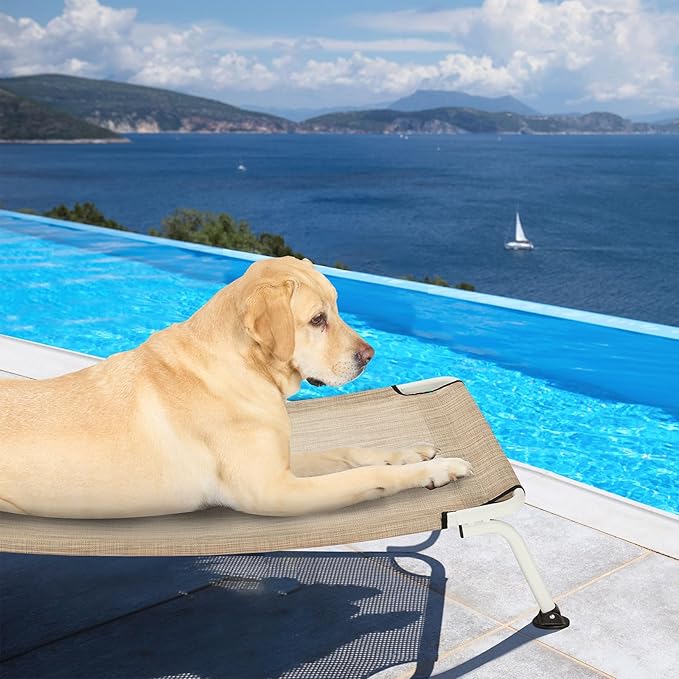 Veehoo Elevated Dog Bed for Outdoor, Cooling Waterproof Raised Dog Cots Beds for Large Dogs, Curved Off Ground Pet Hammock Cot Lifted for Outside, up to 85lbs, White Legs, Beige 42"