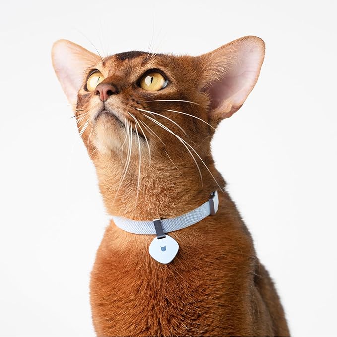 Safety Cat Collar and ID Tag Set, Elastic Quick Release Non Breakaway Collar, Personalized Aluminum Engraved Pet Name Tag, Lightweight for Kitten Small Large Cats (Midnight Black-S, Star)