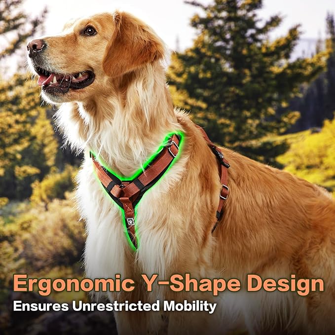 CLEPAWS Dog Harness for Medium Dogs, No Pull Dog Harness Easy Walk with Metal Hardware, Ergonomic Y-Shaped Design, Soft Padding, Padded Handle, Durable High-Tensile Nylon (Canyon Red, M)