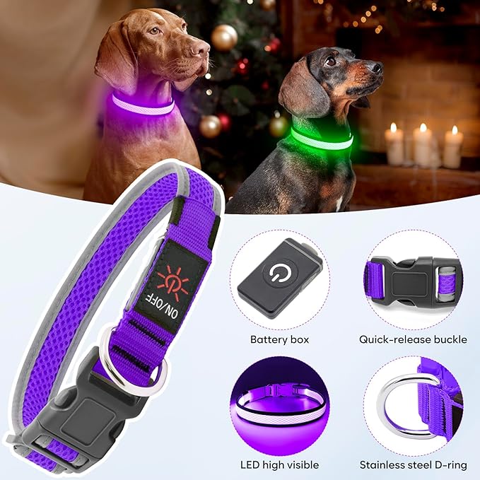 LED Dog Collar, Light Up Dog Collar USB Rechargeable, Brightest Dog Lights for Night Walking, Adjustable Dog Collar Light for Dog Safety (Purple, Medium)