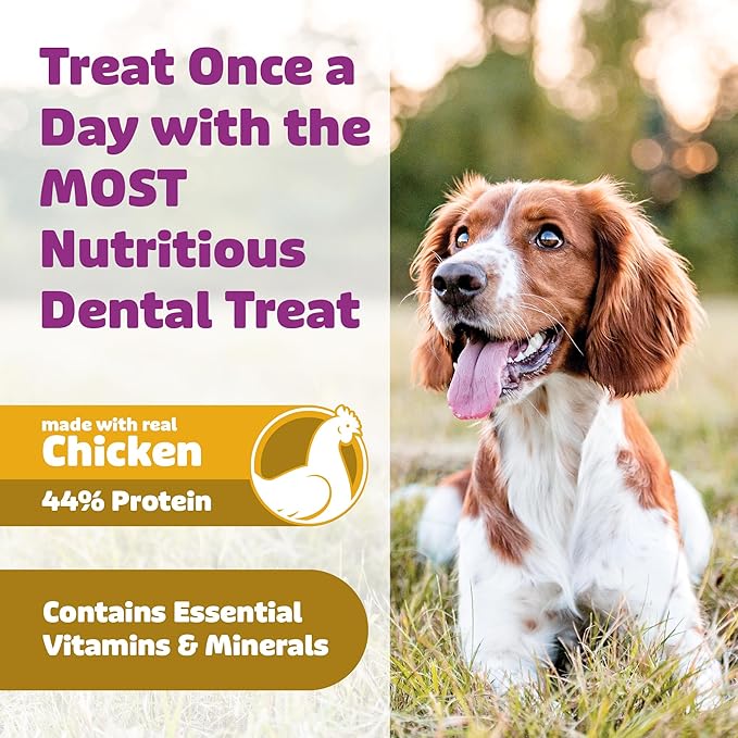 Dog Dental Treats – Vet VOHC Approved – Delicious Chicken Protein – Removes Tartar with Cleaning Comb Shape – Dental Dog Treats for Large Dogs (12oz, 9 Count)