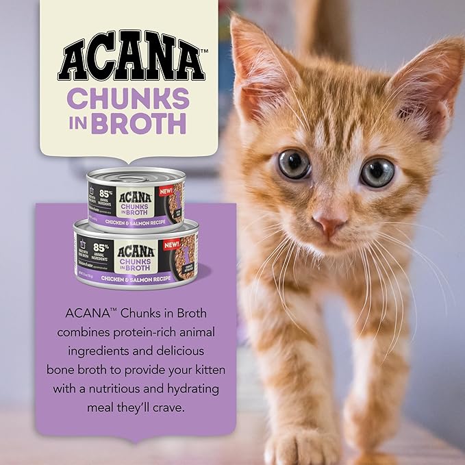 ACANA Chunks in Broth Wet Cat Food Chicken & Salmon Recipe for Kittens 5.5oz Cans (6 Count)